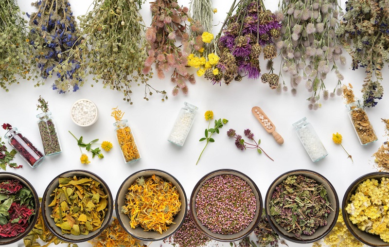 طب سنتی و داروهای گیاهی