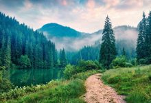 مدیتیشن در دل طبیعت