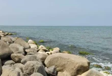 فاصله کلاچای تا دریا